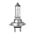 Car Headlight Bulbs(Halogen)_autovado