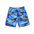 Men's Swimwear_autovado