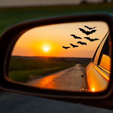 special supply car car stickers rearview mirror stickers glass stickers mirror stickers Halloween bat rearview mirror stickers_autovado.com