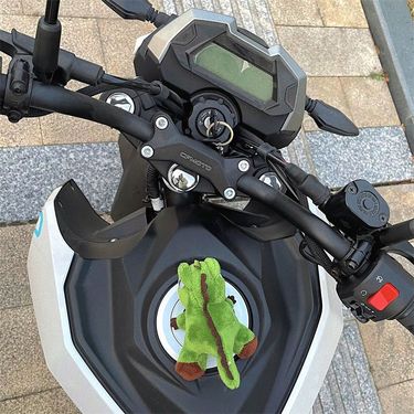 【 94% Positive Review Rate 】 Battery Electric Bike Motorcycle Decoration Accessories, Pendants, Ornaments, Dolls, Cute_autovado.com