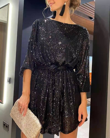 Women's Holiday Party Shiny Sequin Dress Little Dress Dress_autovado.com