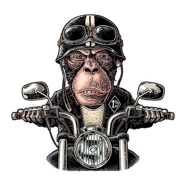 car cartoon sticker riding a motorcycle gorilla window glass motorcycle sticker decoration_autovado.com