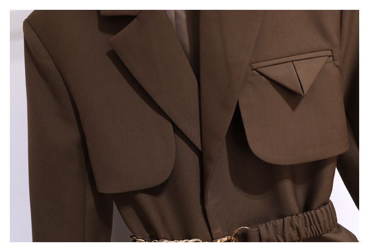 Spring And Autumn Windbreaker Women's New Top Korean Style Chic Coffee Colored Small Suit Jacket For Women Spring And Autumn High-end Suit For Women_autovado.com