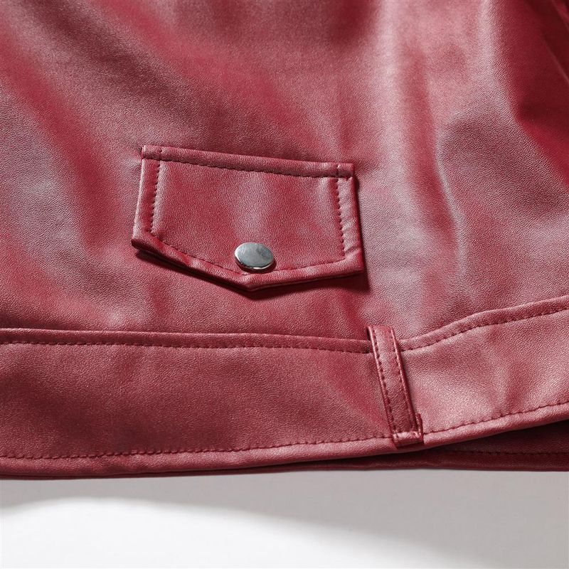 Men's PU Leather Jacket Men's Stand Collar Punk Motorcycle Leather Jacket_autovado.com