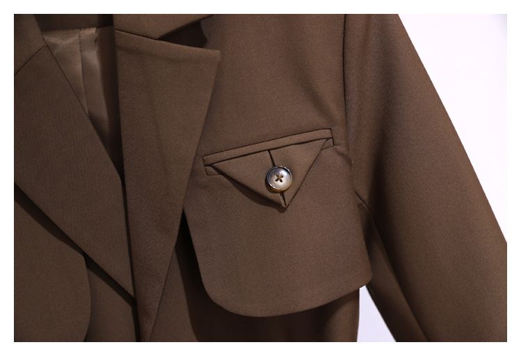 Spring And Autumn Windbreaker Women's New Top Korean Style Chic Coffee Colored Small Suit Jacket For Women Spring And Autumn High-end Suit For Women_autovado.com