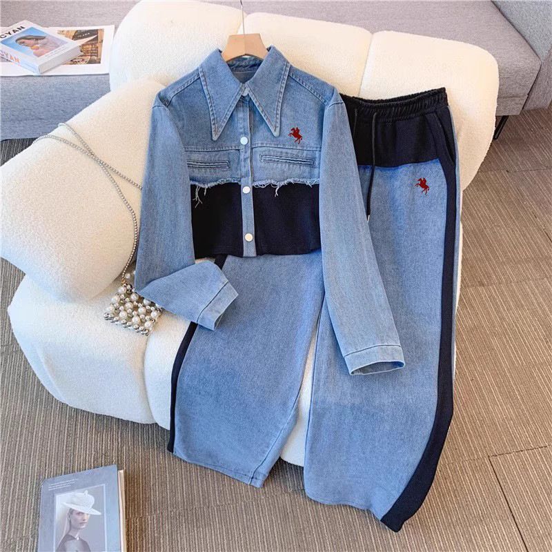 Denim Two-piece Set, New Spring And Autumn Style, Long-sleeved Top And Wide-leg Pants._autovado.com