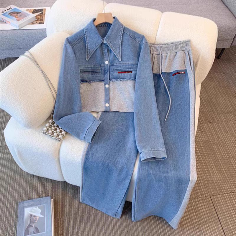 Denim Two-piece Set, New Spring And Autumn Style, Long-sleeved Top And Wide-leg Pants._autovado.com