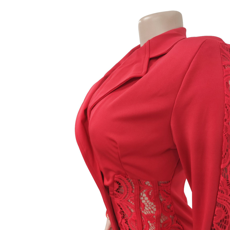 Women's fashion women's V-neck long-sleeved double-breasted tassel openwork dress_autovado.com