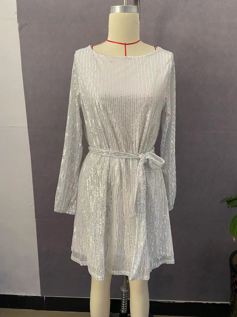Women's Holiday Party Shiny Sequin Dress Little Dress Dress_autovado.com