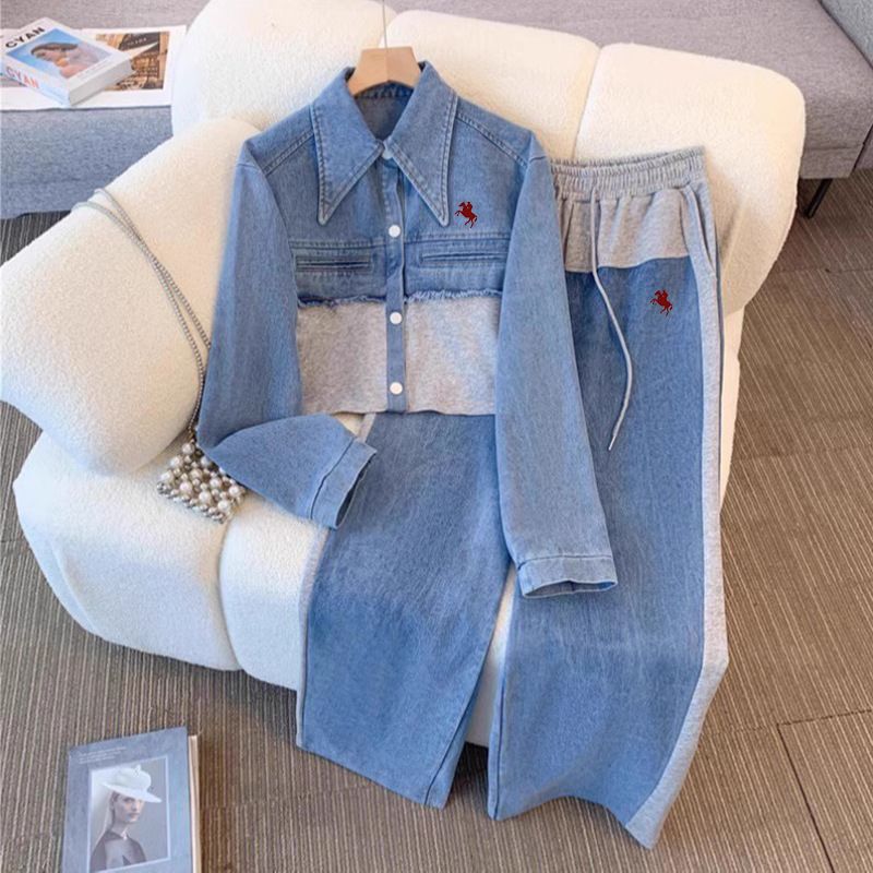 Denim Two-piece Set, New Spring And Autumn Style, Long-sleeved Top And Wide-leg Pants._autovado.com