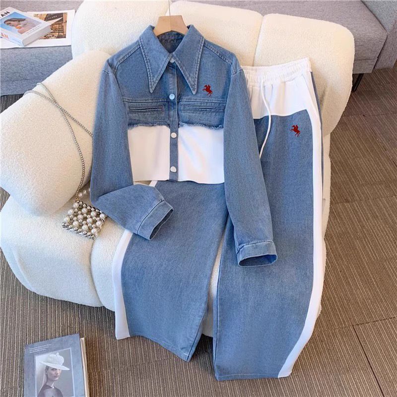 Denim Two-piece Set, New Spring And Autumn Style, Long-sleeved Top And Wide-leg Pants._autovado.com