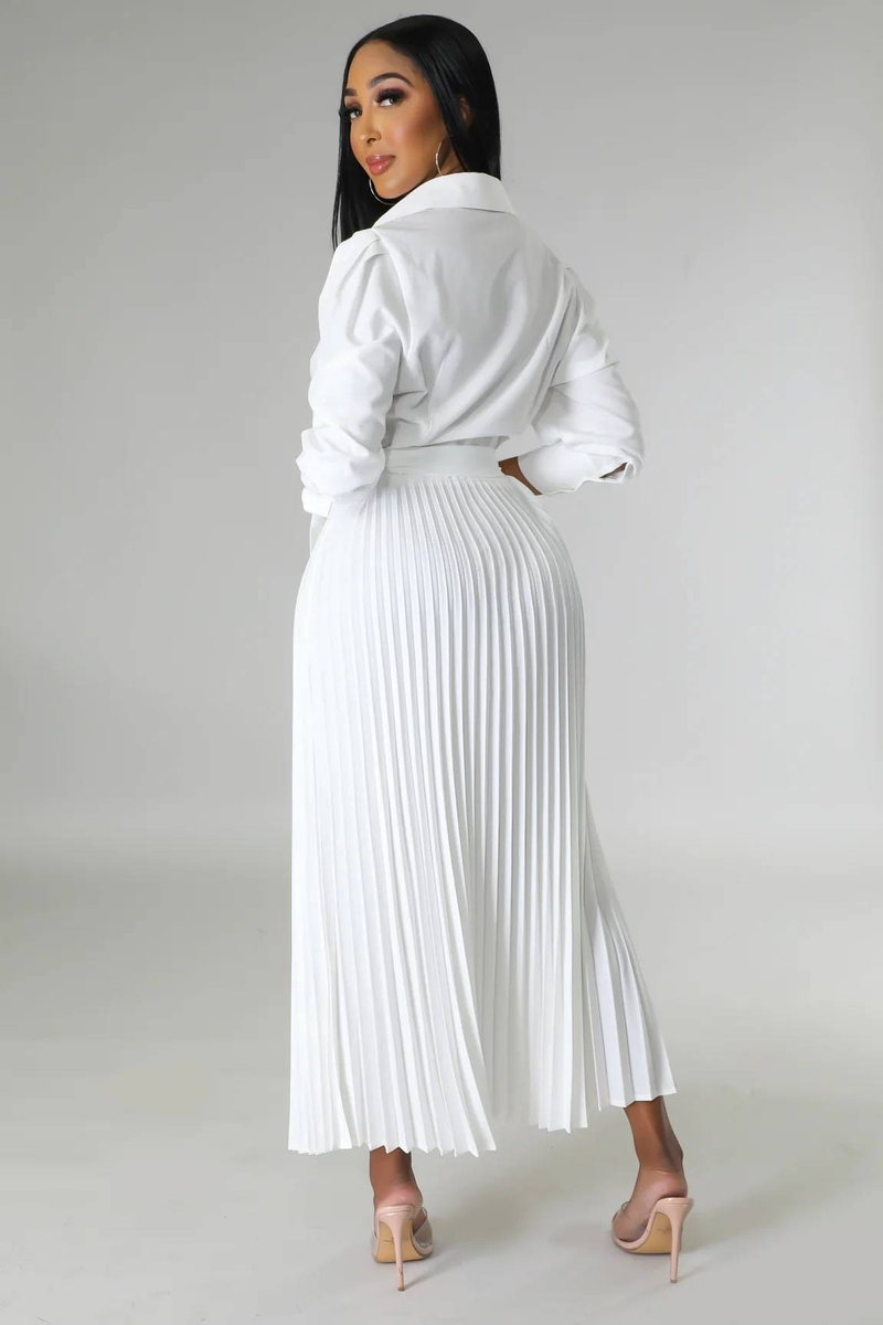 Long sleeved Polo collar high waist fashion casual pleated women's dress_autovado.com