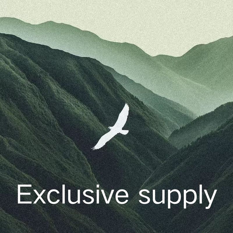 LazyZoom Summer 2-Hole 3-Hole Sports Riding Windproof Mask Motorcycle Face Cover Breathable Liner Cap Helmet Inner Village_autovado.com