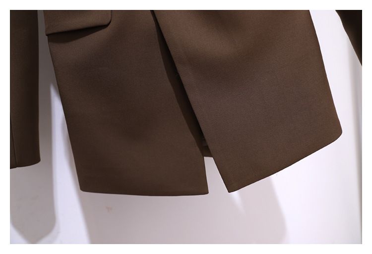 Spring And Autumn Windbreaker Women's New Top Korean Style Chic Coffee Colored Small Suit Jacket For Women Spring And Autumn High-end Suit For Women_autovado.com